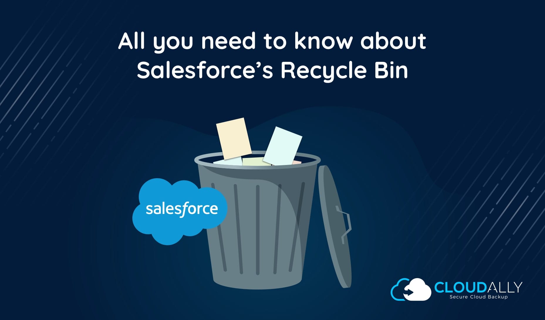 Salesforce Recycle Bin | CloudAlly