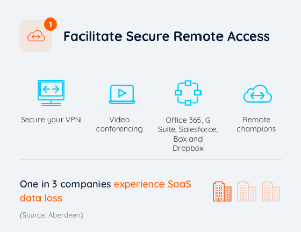 Facilitate Secure Remote Access | CloudAlly