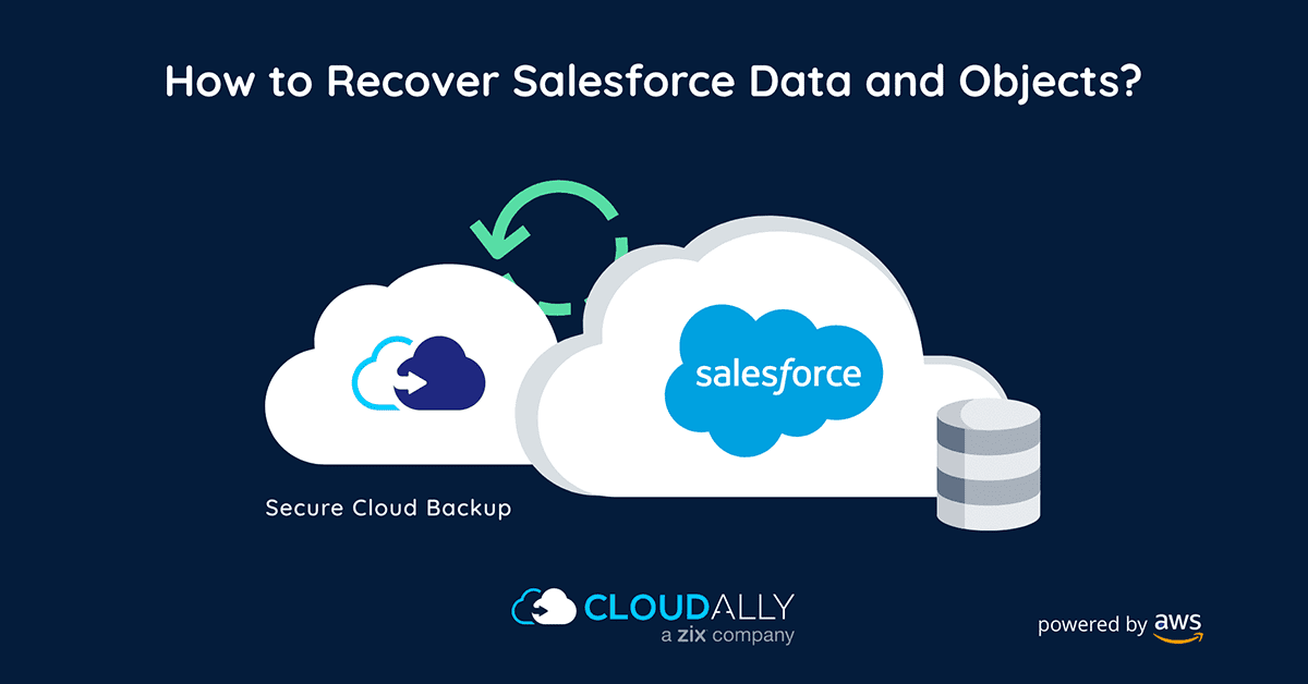 how to recover salesforce objects | CloudAlly